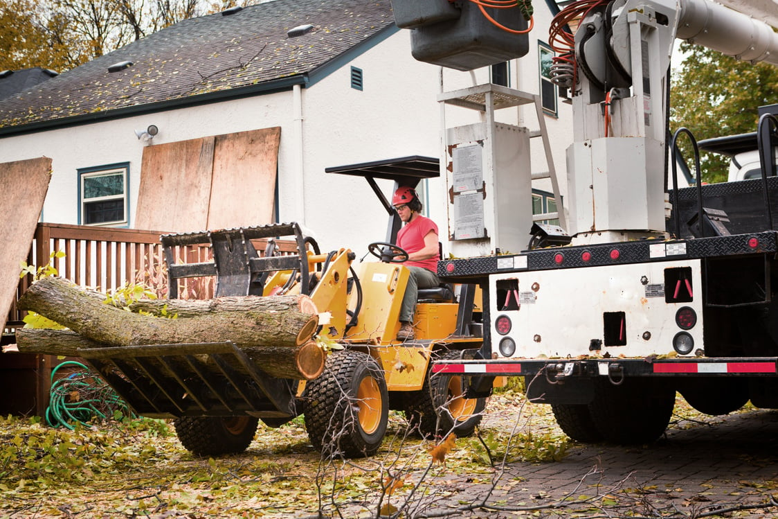 Tree Service Worker Removing Timber from Work Site